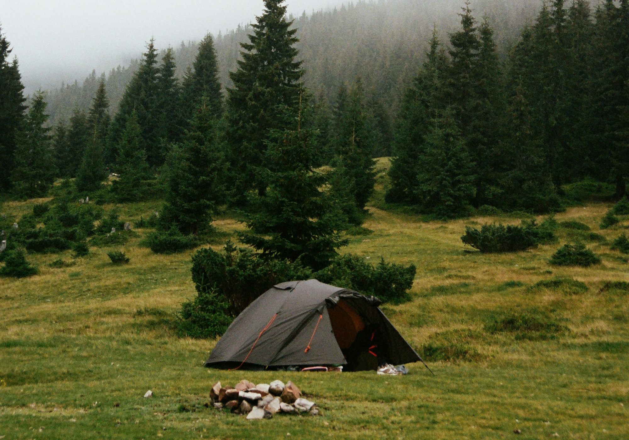 Online Camping Communities