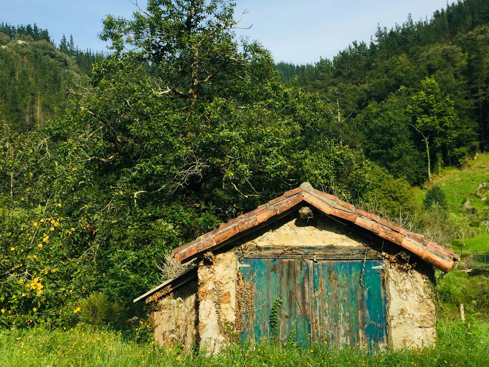 Abadoned Spain